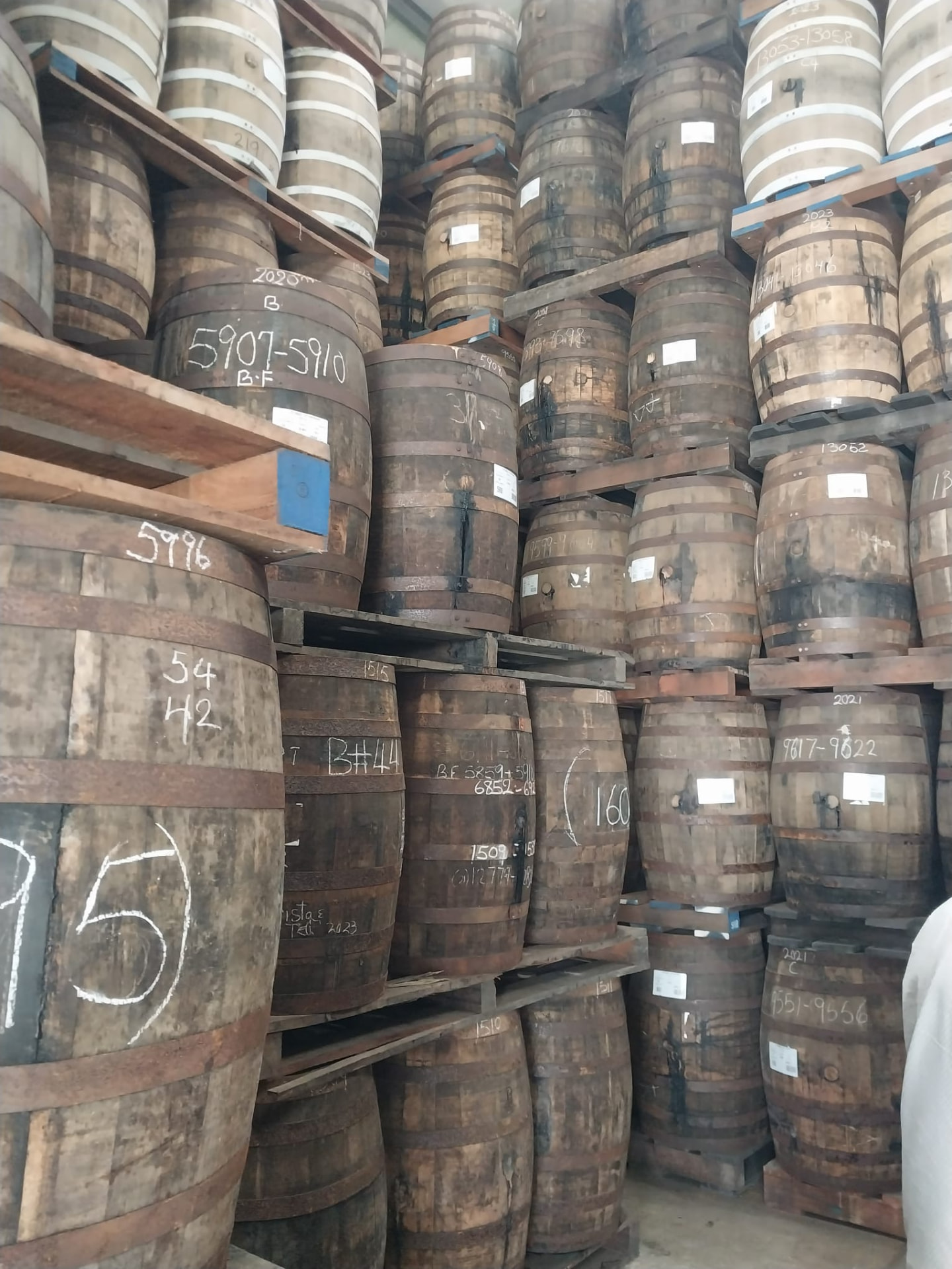 Ageing rum barrels at the Mount Gay distillery, a popular Barbados island tour stop