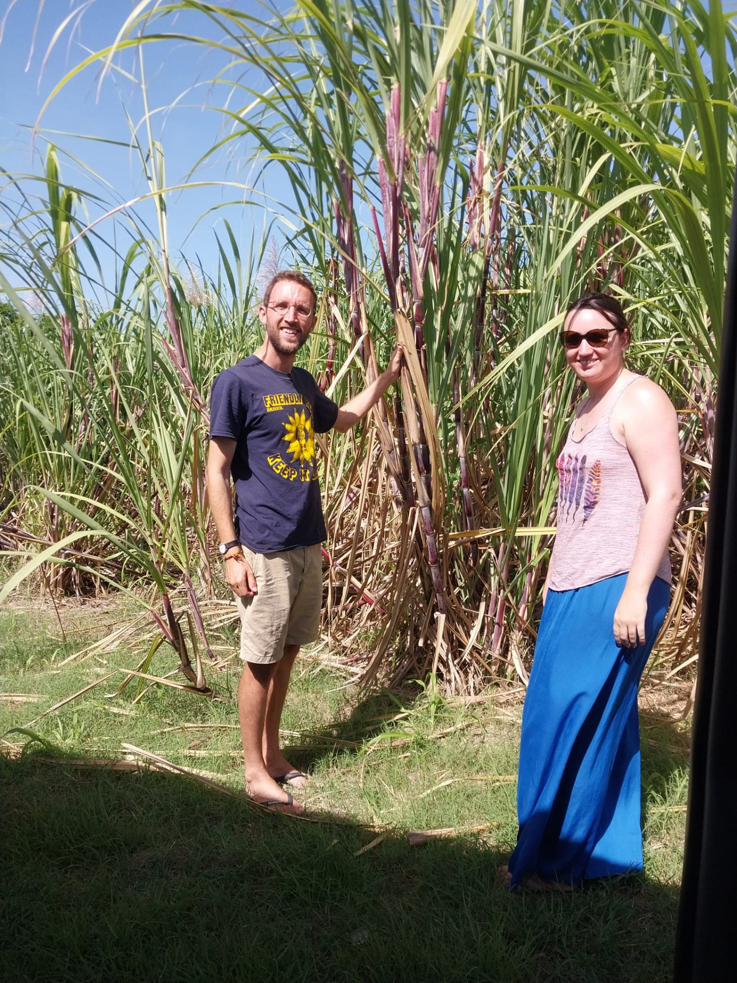 Couple beside tall sugar cane at a field stop on a Barbados sightseeing tour with On The House Taxi Service