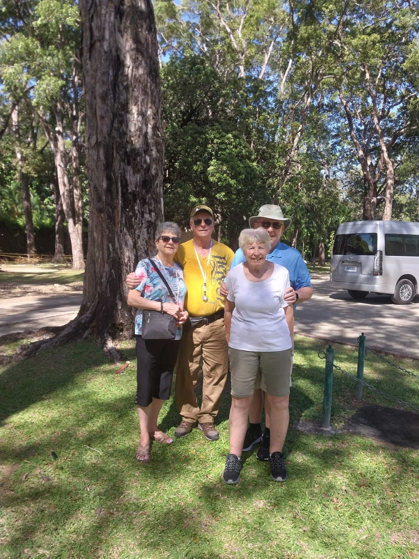 Sightseeing group standing beneath tall tropical trees during a Barbados island tour