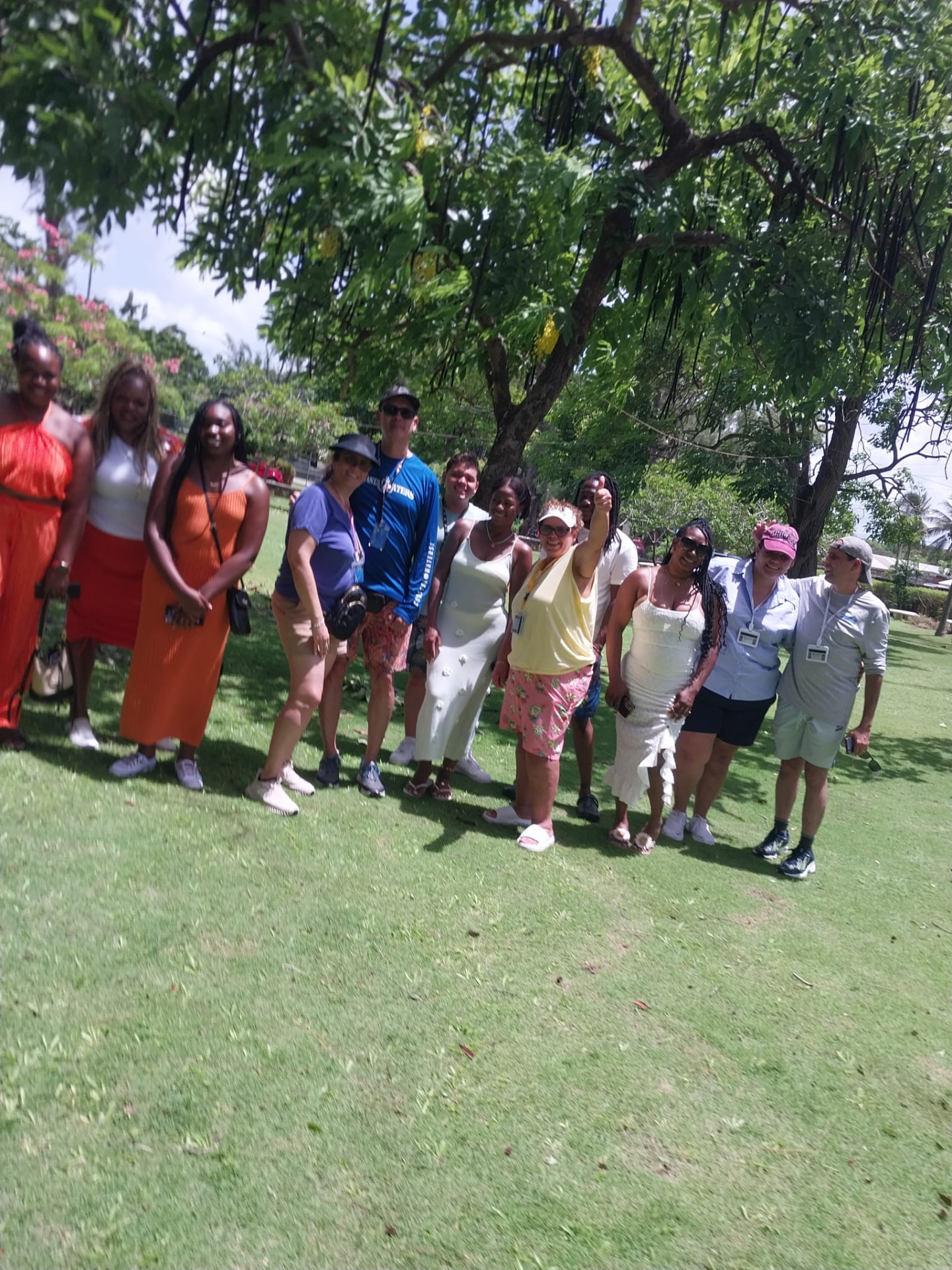 Island tour group posing under a large shady tree at a nature stop in Barbados