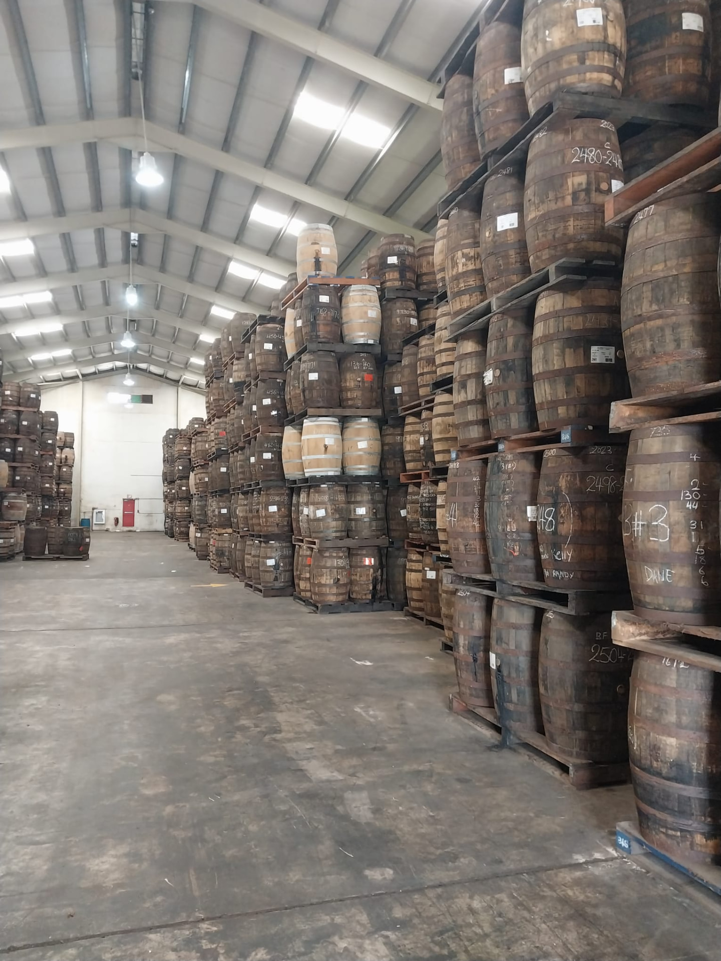 Vast warehouse of stacked rum barrels at the Mount Gay distillery, a highlight of a Barbados rum tour