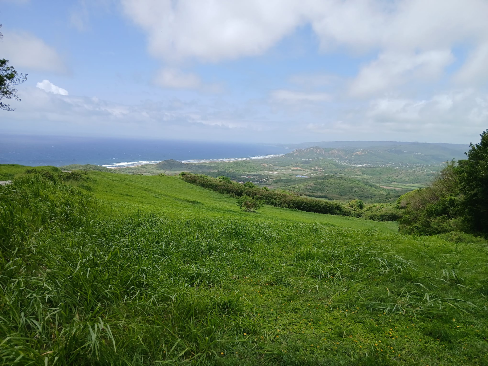 Green rolling hills and the Atlantic coastline seen from a lookout on the Barbados east coast